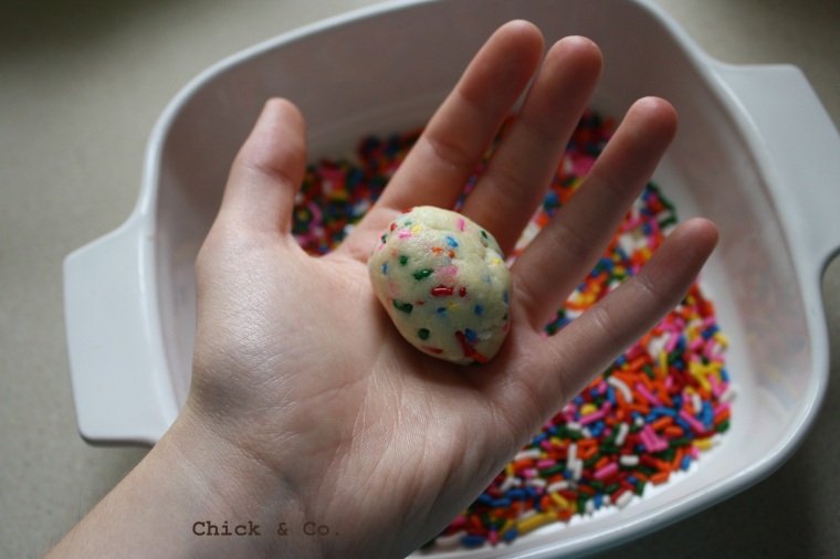 Rainbow Sprinkle Cookies (11)