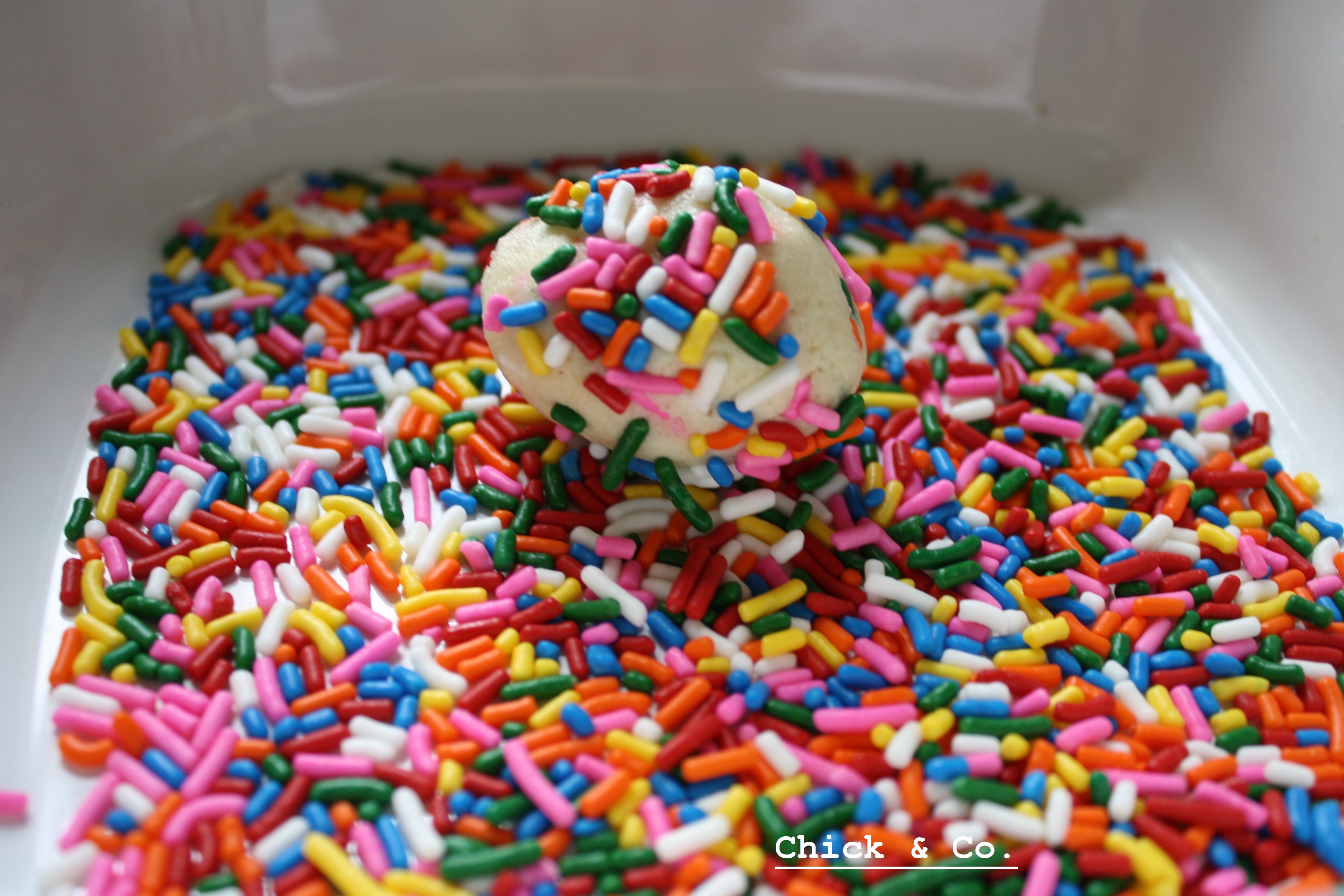 Rainbow Sprinkle Cookies (12)