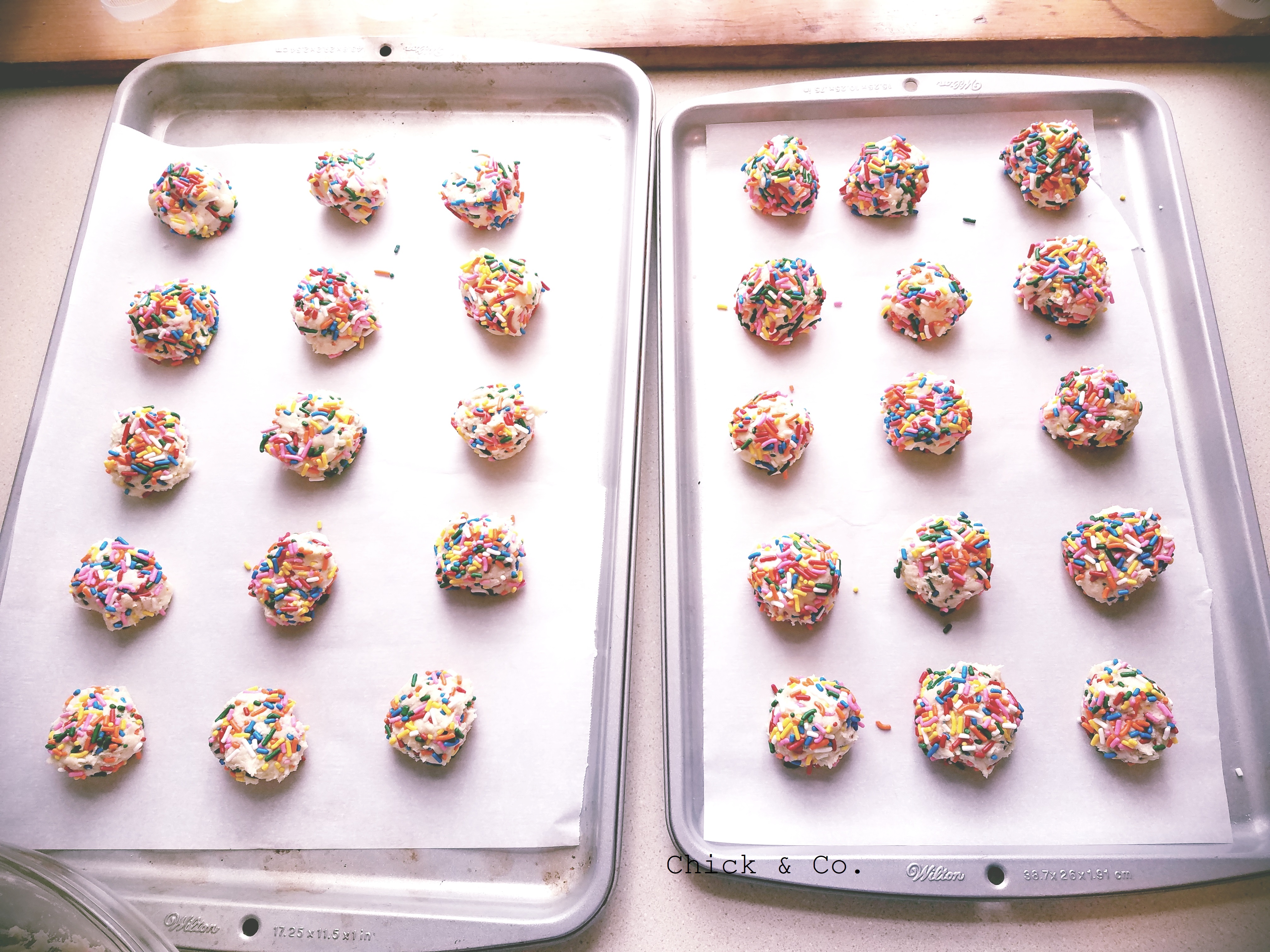Rainbow Sprinkle Cookies (6)