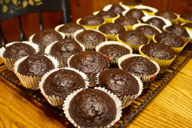 Chocolate Cupcakes (4)