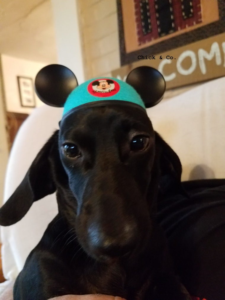 Mousketeer Willie