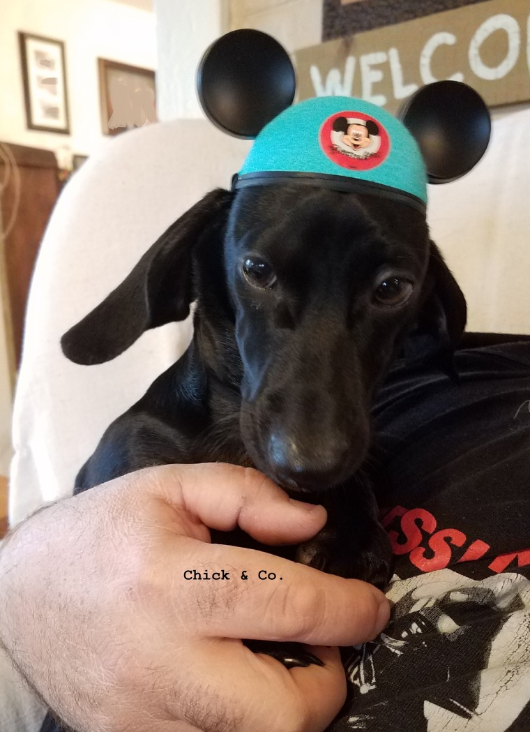 Will the Mousketeer